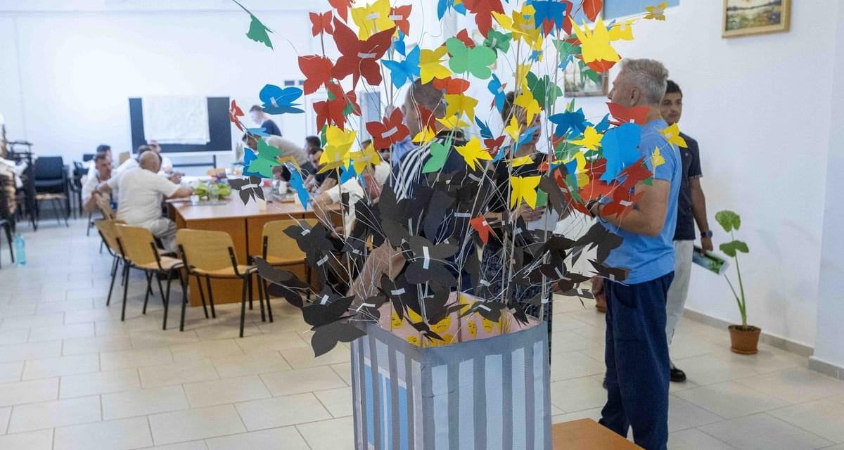 OUT OF THE BOX II – a cellák hangja
